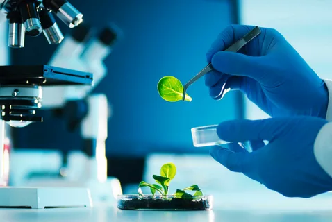 biotechnology in agriculture